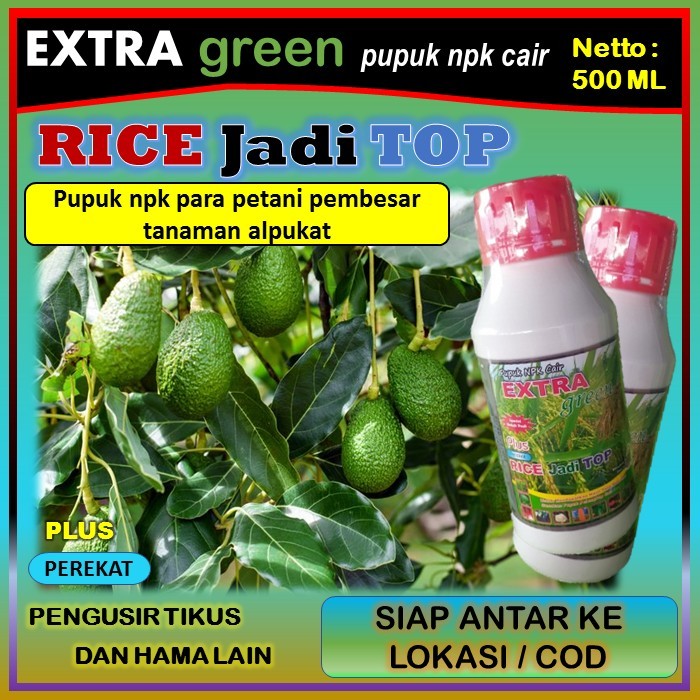 Pupuk tanaman alpukat npk cair lengkap ( EKTRA GREEN RICE jadi TOP ) 500 ml - pupuk penyubur tanaman