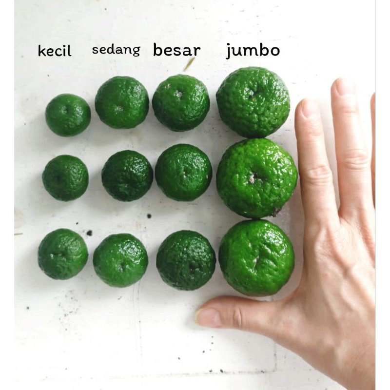 

Jeruk limau jeruk sambal fresh kebun , organik