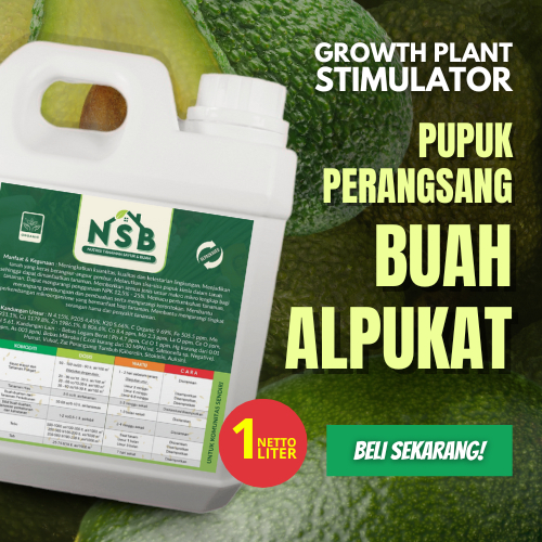 Pupuk Alpukat Cepat Berbuah / Pupuk Alpukat Untuk Pertumbuhan / Pupuk Perangsang Buah Alpukat