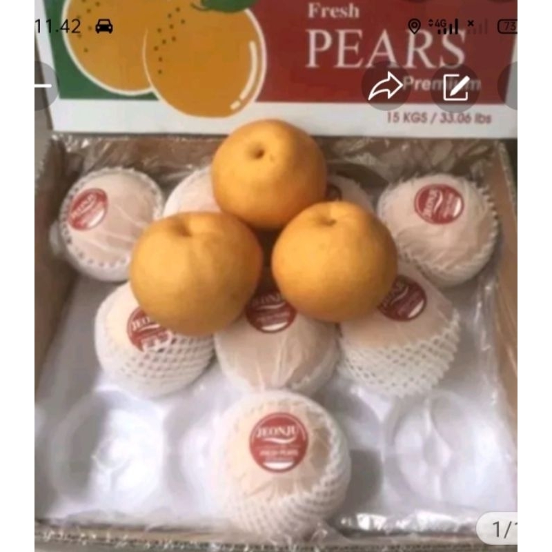 

Buah pear pir singo Korea per 3 Buah