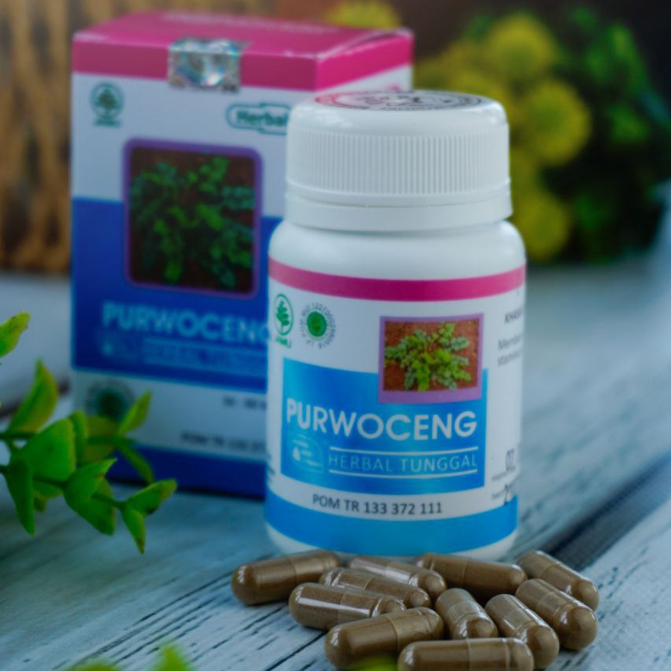 Kapsul Purwoceng Herbal Indo Utama