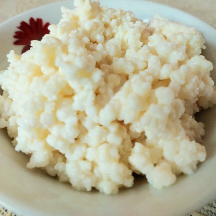 

Super Oke Bibit Kefir Asli