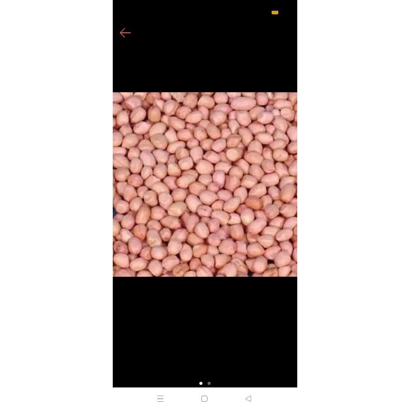

kacang tanah 1 kg
