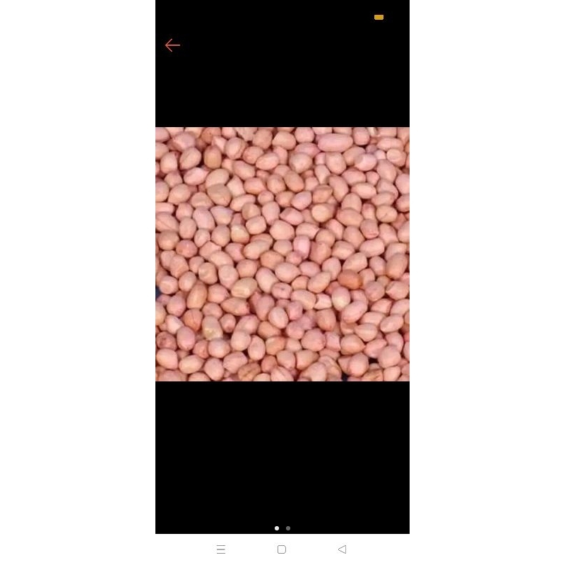 kacang tanah 1 kg