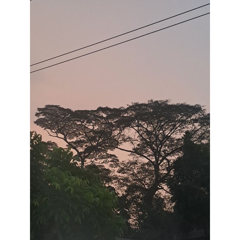 Curon / Curhat Online