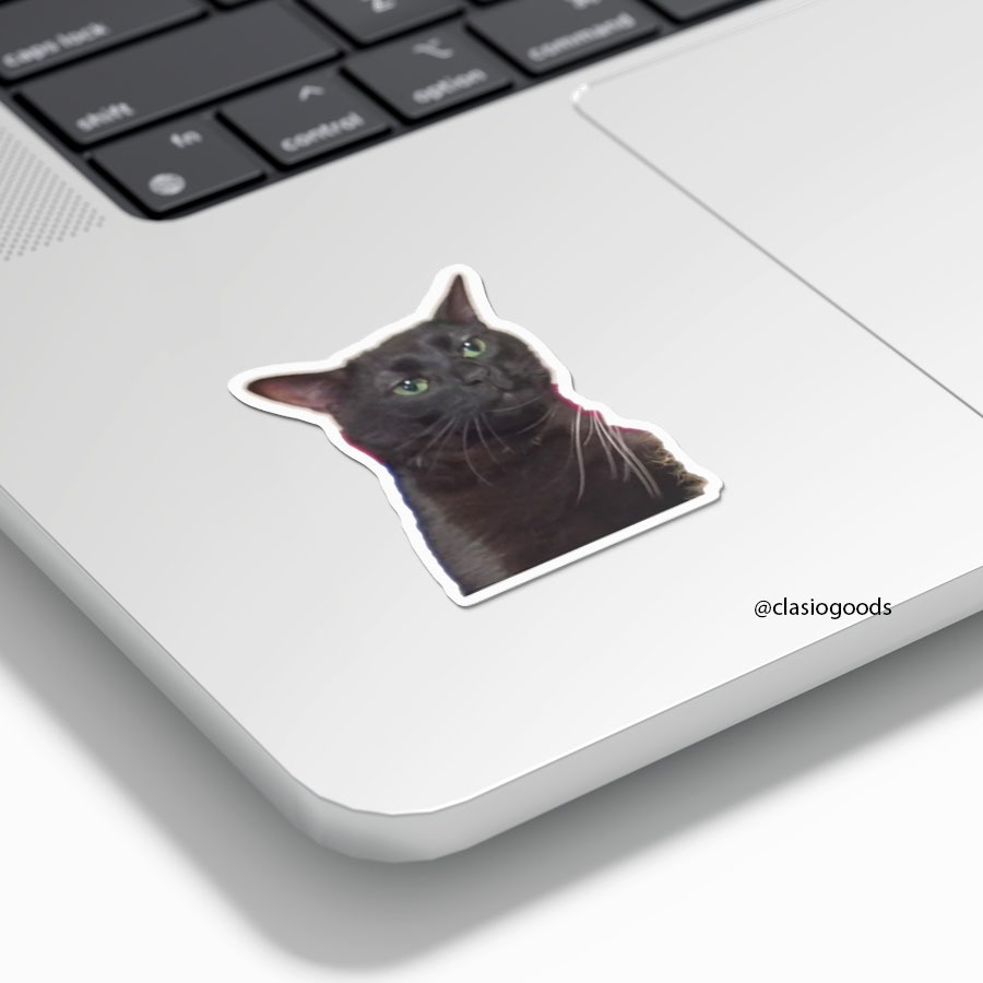 

Sticker Tempel "Zoned Out Cat