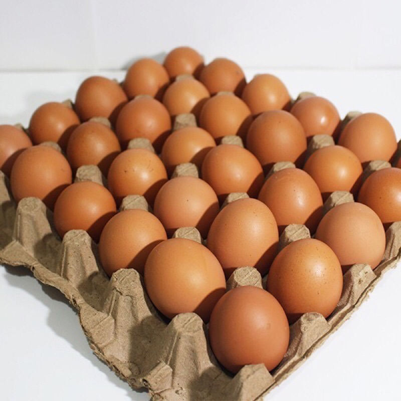 

DA telur ayam fresh / telur ayam negeri / telor ayam omega