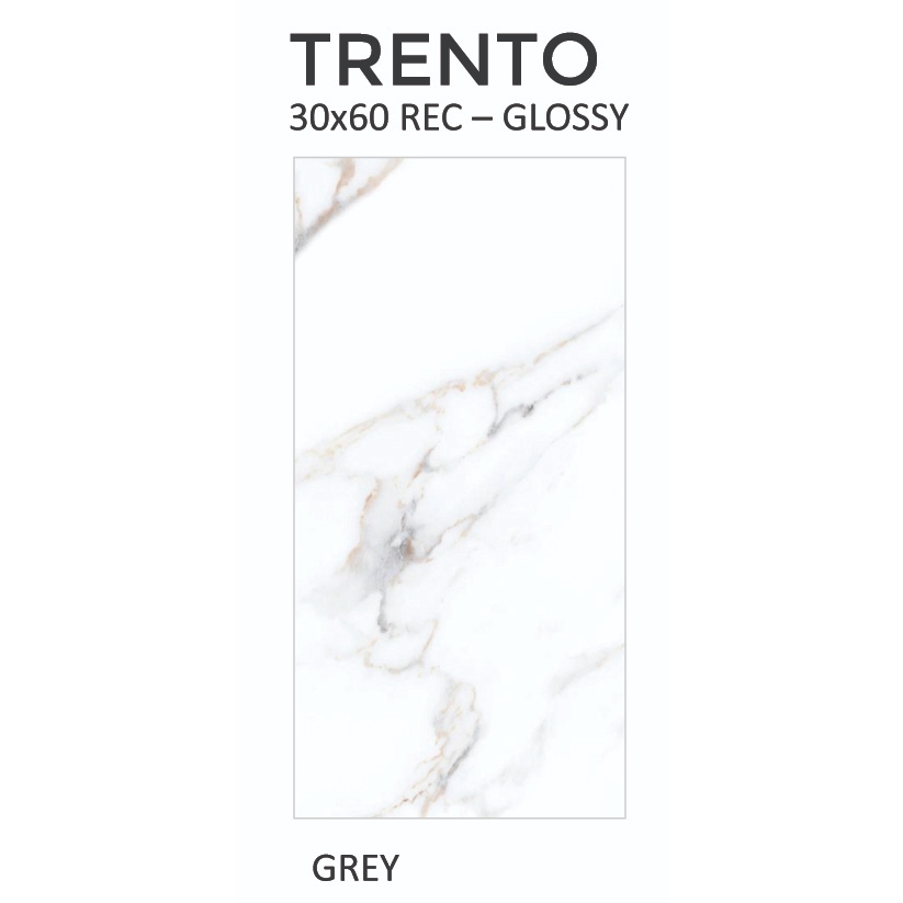 Keramik Dinding Platinum TRENTO GREY 30x60