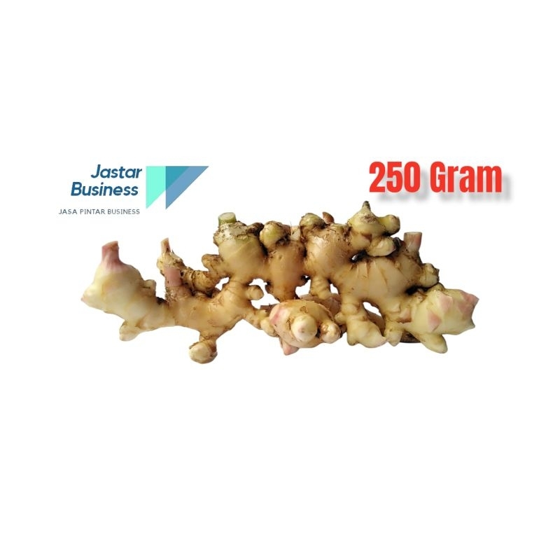 

JAHE PUTIH SEGAR (GRADE A) 250 GRAM