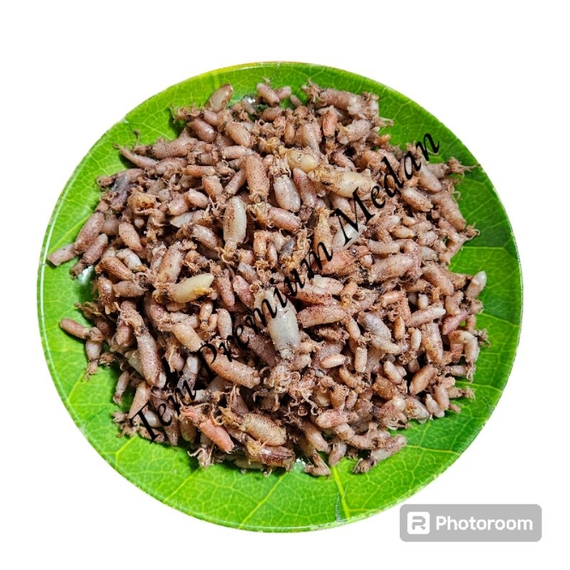 

baby cumi / cumi asin / cumi kecil kemasan 1kg