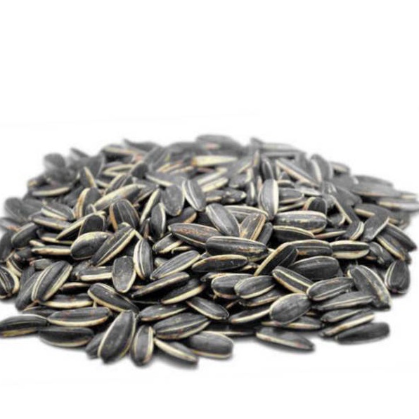 

Best Deal Kuaci Biji Bunga Matahari 5GRAM Sunflower Seed kwaci matang kuaci Rasa Original