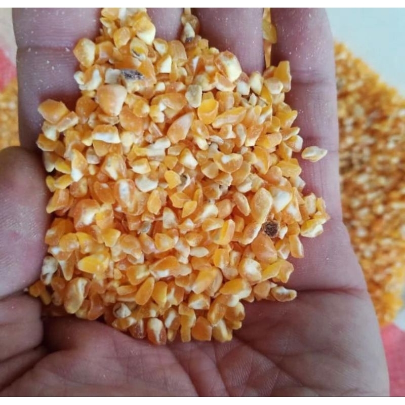 jagung pecah jagung super jagung ayam makanan ayam 1kg
