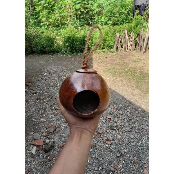 Kandang burung batok kelapa Glodok lovebird unik  murai sangkar burung sarang coconut shell bird's n