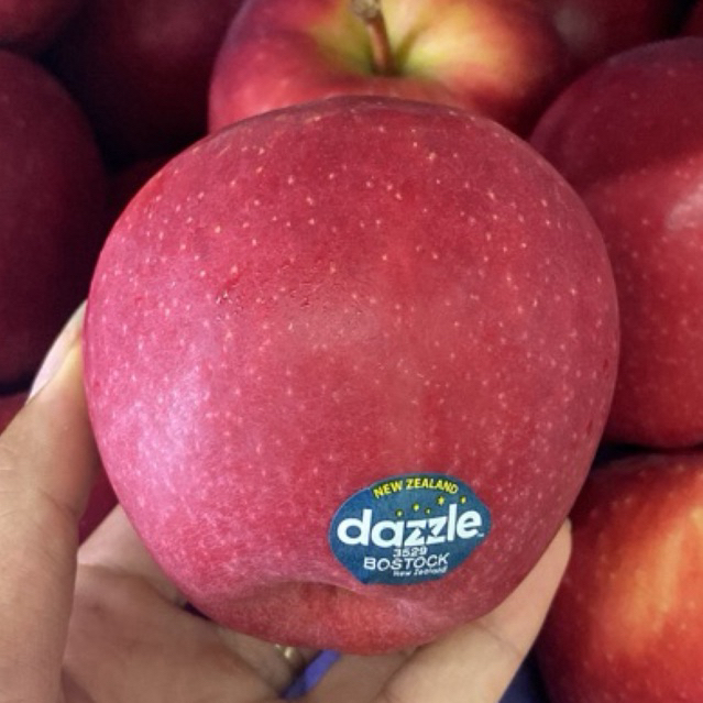 

Apel Dazzle New Zealand Manis Garing / Buah Apel Dazzle / 1 Kg
