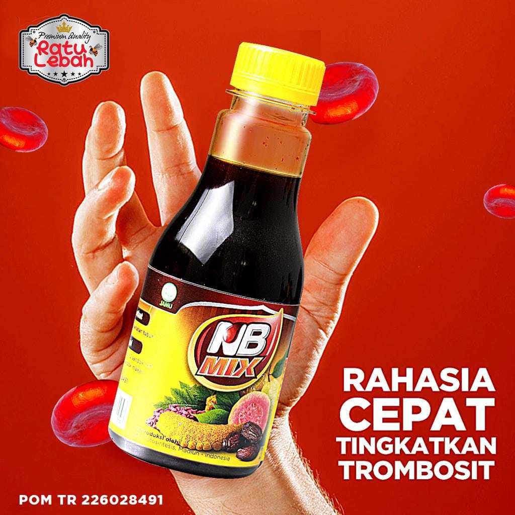 

Sari Kurma NB Mix 310 Gram