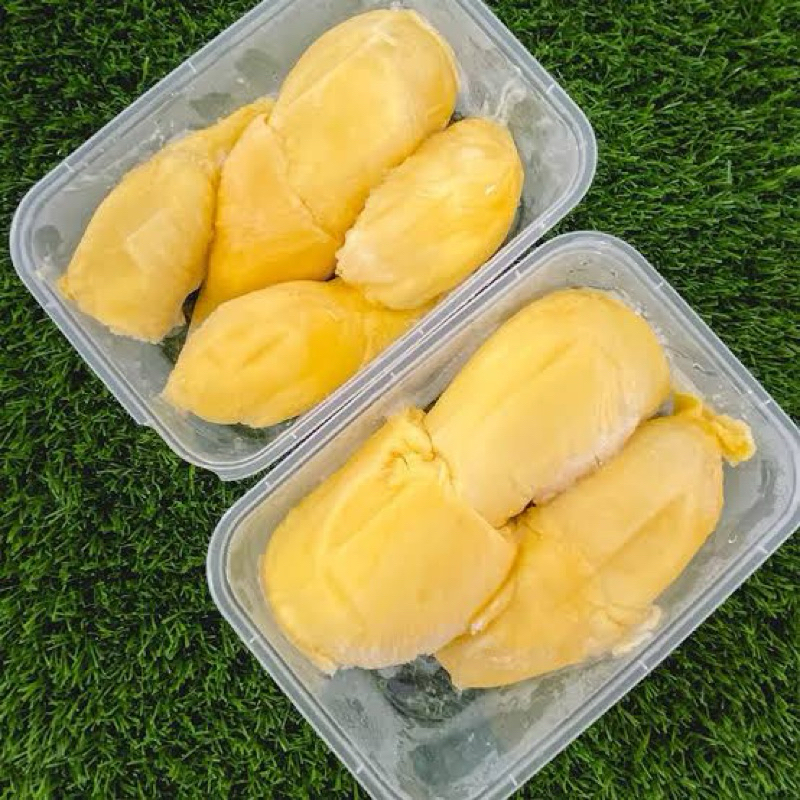 

Durian Montong Palu 500 gram