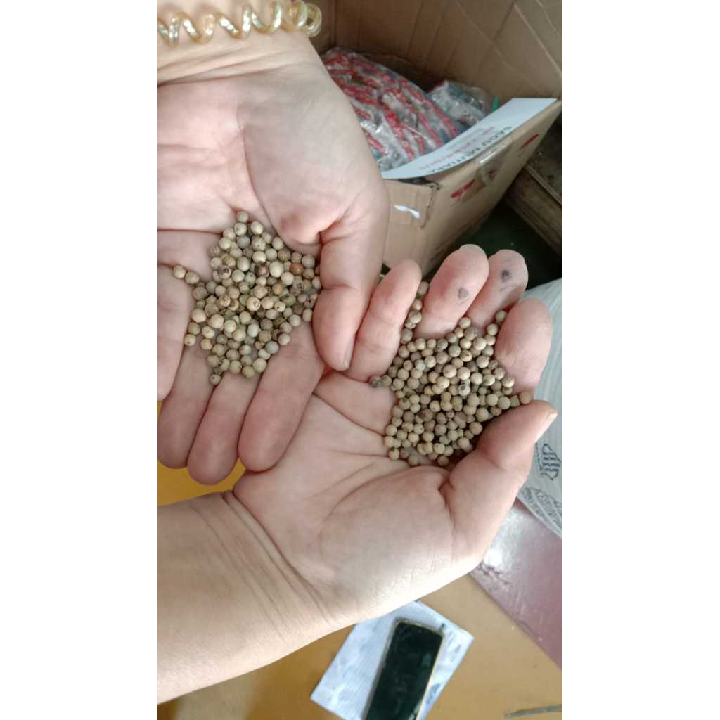 

Lada ori/merica butir 1 kg