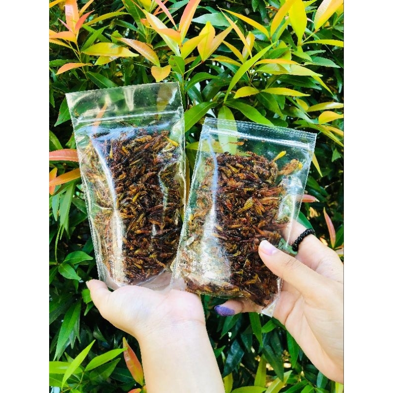 

Belalang Goreng Rasa Original Kemasan Standing Pouch Berat 100 gram
