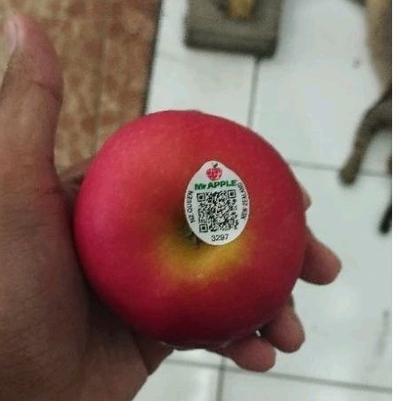 

BUAH APEL PASIFIC ROSE SUPER SWEET & GARING 1 KG