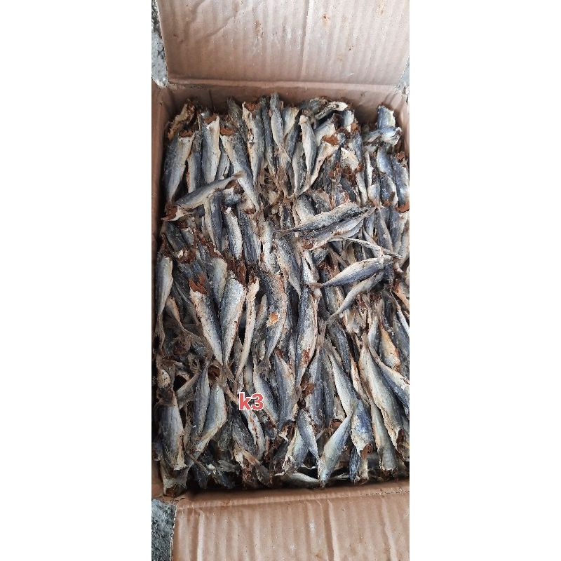 

Ikan asin pindang / Klotok K3 kecil tanpa kepala harga termurah rasa istimewa
