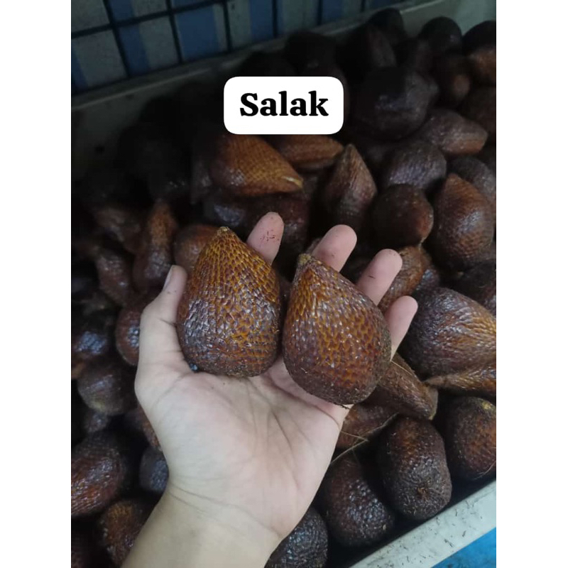 

buah salak