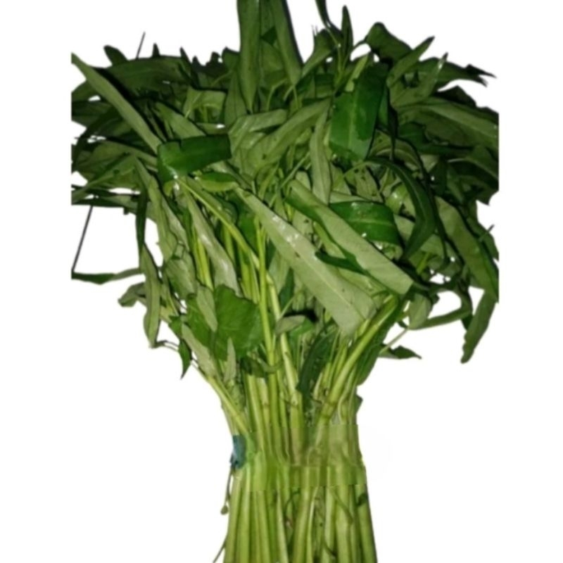 

Sayur kangkung segar