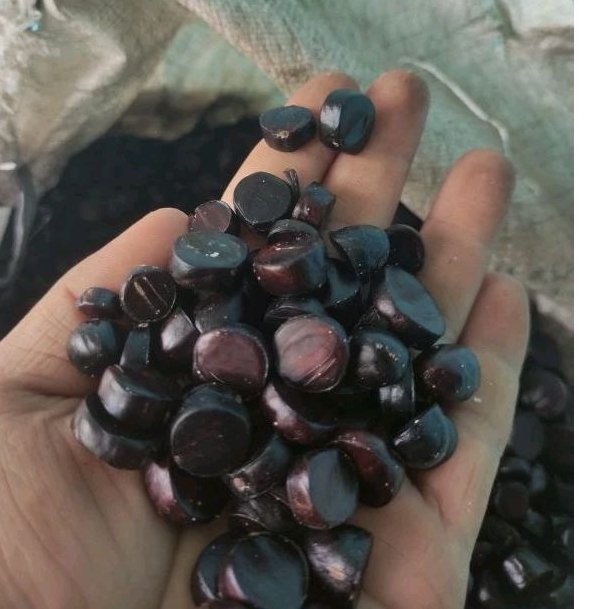 

kabau jolang jaling habo 1 kg / 1000gr