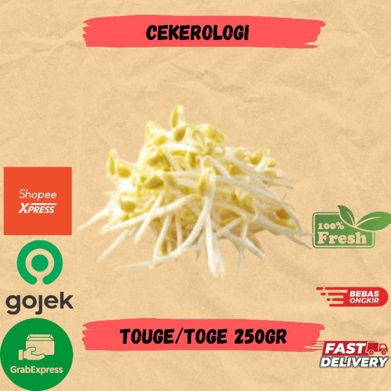 

Tauge 250gr / Toge / Toge Fresh Berkualitas / JABODETABEK / Tauge / Toge / Sayur Segar / Sayuran / Sayur