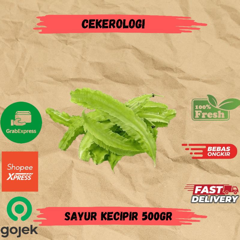 

Sayur Kecipir 500gr / Sayur Kecipir / Sayur Kecipir Fresh Berkualitas / JABODETABEK / Sayur Kecipir / Sayur Segar / Sayuran / Sayur