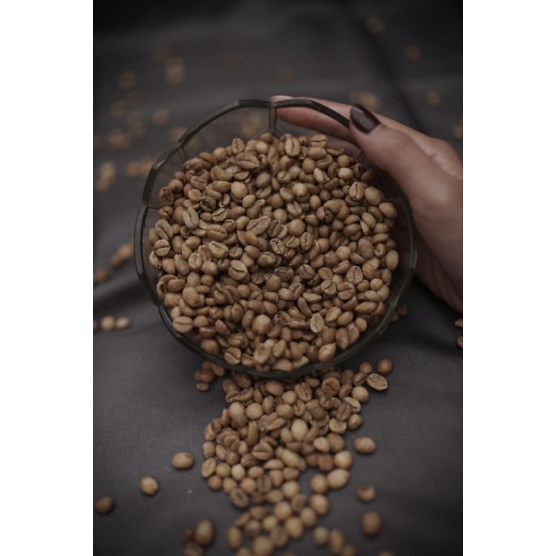 

Green Bean Excelsa Seloondo Natural Process Premium 500 GRAM