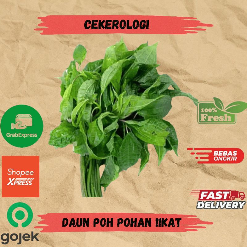 

Saun Poh Pohan 1ikat / Daun Poh Pohan / Daun Poh Pohan Fresh Berkualitas / JABODETABEK / Lalapan / Poh Pohan / Sayur Segar / Sayuran / Sayur