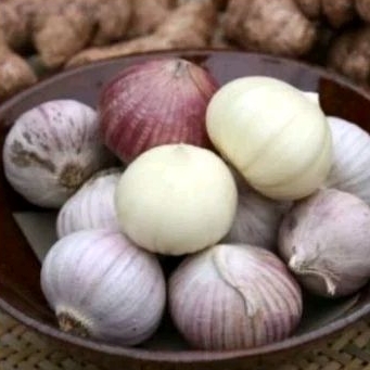 BEST SELLER BAWANG PUTIH TUNGGAL LANANG 1 KG JUMBO SUPER - BAWANG LANANG - BAWANG PUTIH LANANG