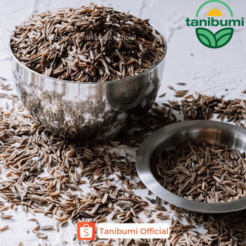 

Grosir Caraway Seed 1kg Jintan Masak Biji Jinten Karaway Premium