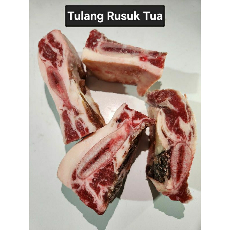 

Tulang Rusuk Iga Tua/Gondrong