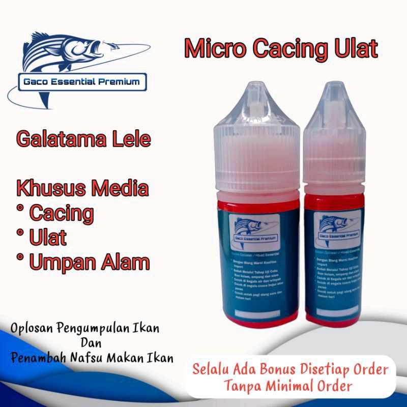 GACO Essen ikan lele MICRO CACING ULAT Dijamin anti zonk-403