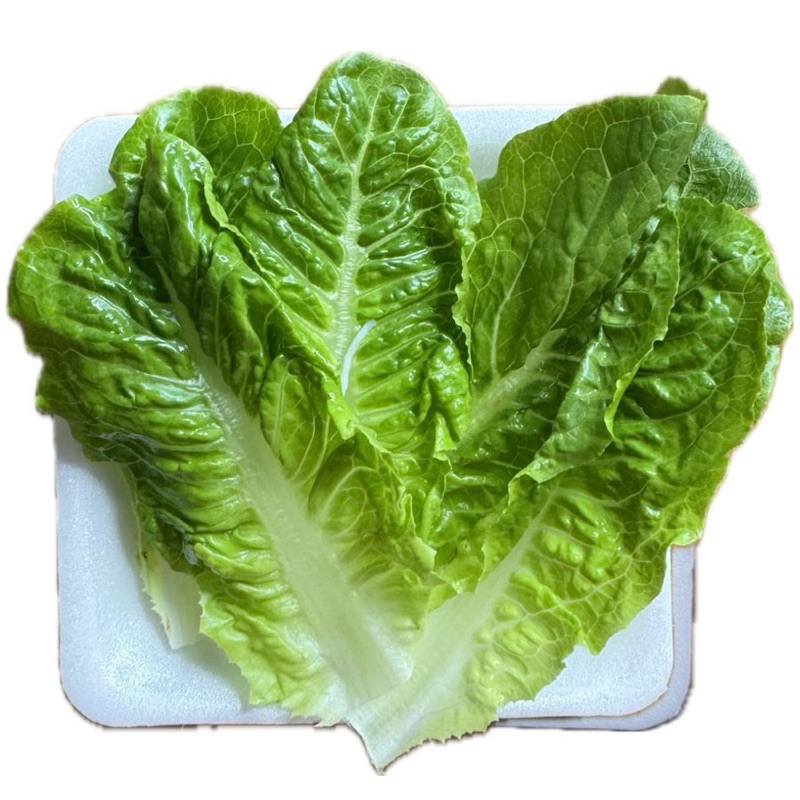 

XTRA Sayuran / Daun Ketumbar / Jeruk Nipis Salad Thailand