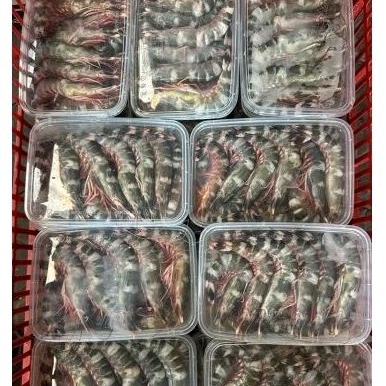 

Promo udang windu laut kemasan ± 500gr, 1kg