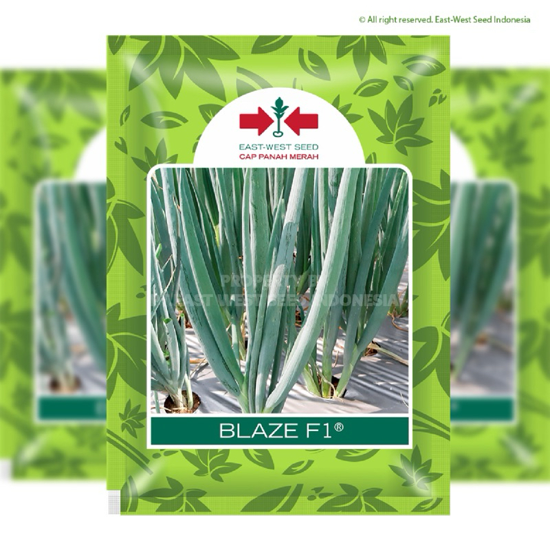 Benih Daun Bawang Blaze 10gram Panah Merah
