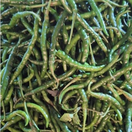 

Cabe Ijo Keriting 100gr