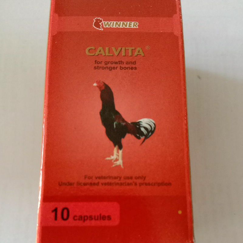 Winner Calvita 10 kps Medion / Kalk Ayam / Vitamin Tulang Ayam Aduan