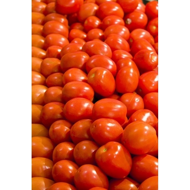

Tomat Merah (500gram)