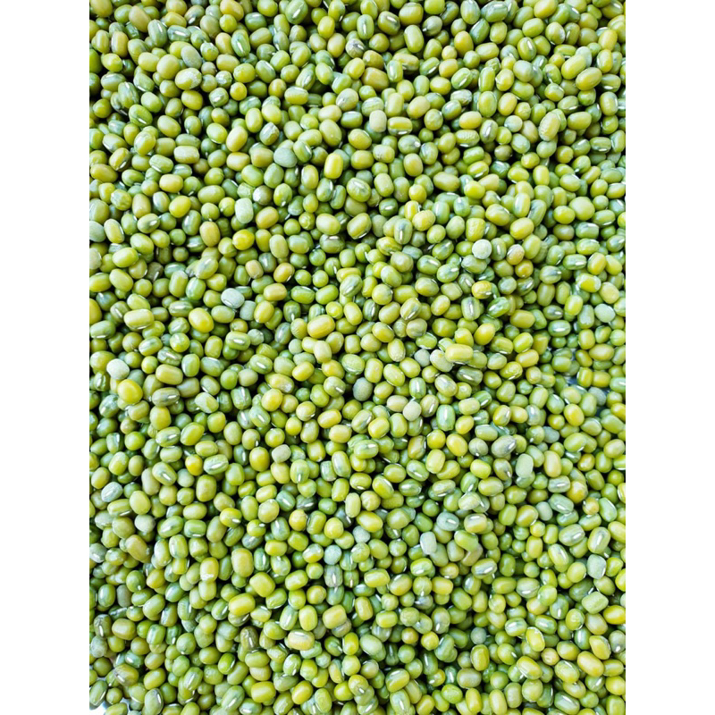 

Kacang Ijo Bubur Yulek 1 kg