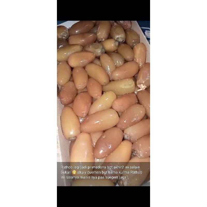 

kurma routhob Libya,