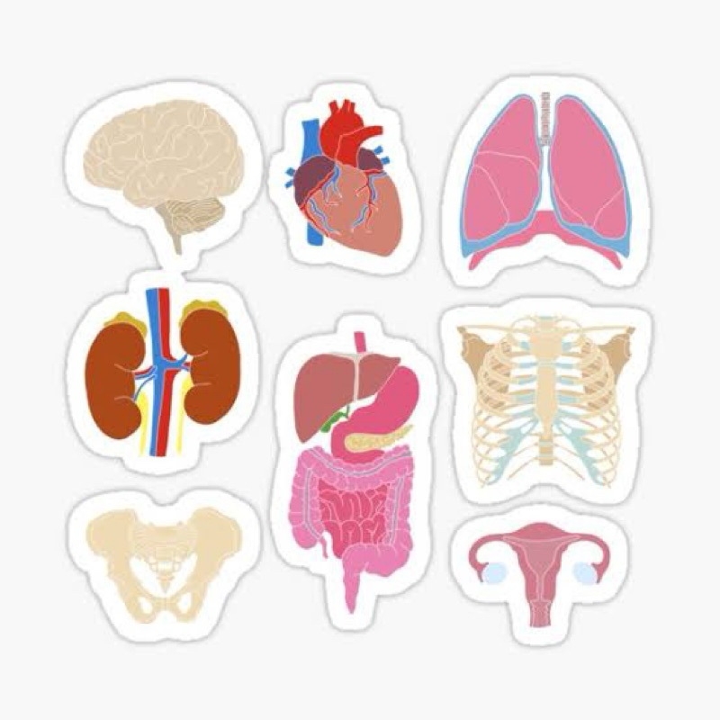 

Sticker kedokteran/nurse/bidan aesthetic 45pcs