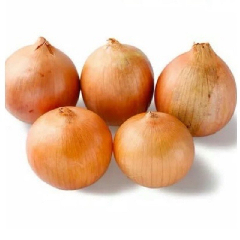 

Bawang bombay Segar