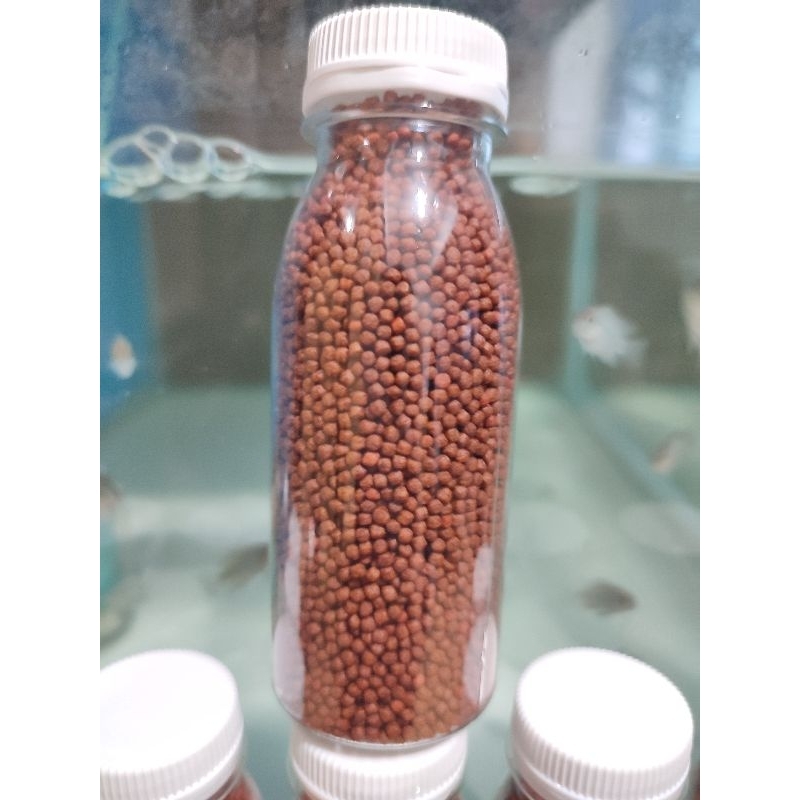 RB PELET UNTUK JENONG DAN WARNA LOUHAN