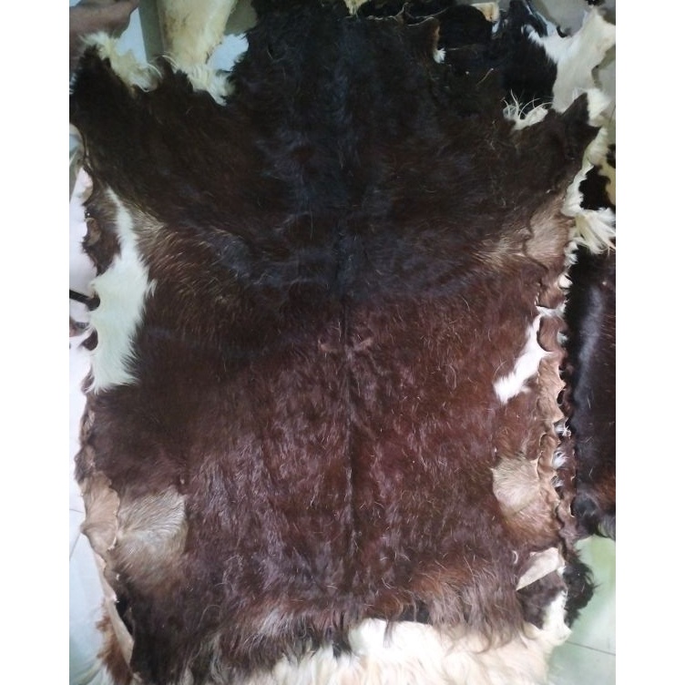 

KODE I8V7 media kulit kambing 75x45