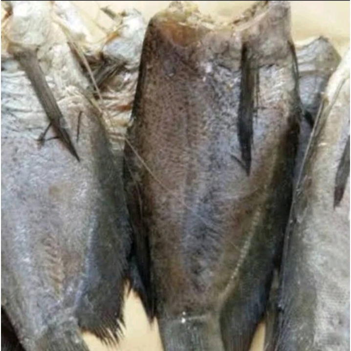 

IKAN ASIN SEPAT SIAM/ IKAN ASIN AIR TAWAR/ IKAN ASIN PALEMBANG/ IKAN ASIN MURAH 500 GR