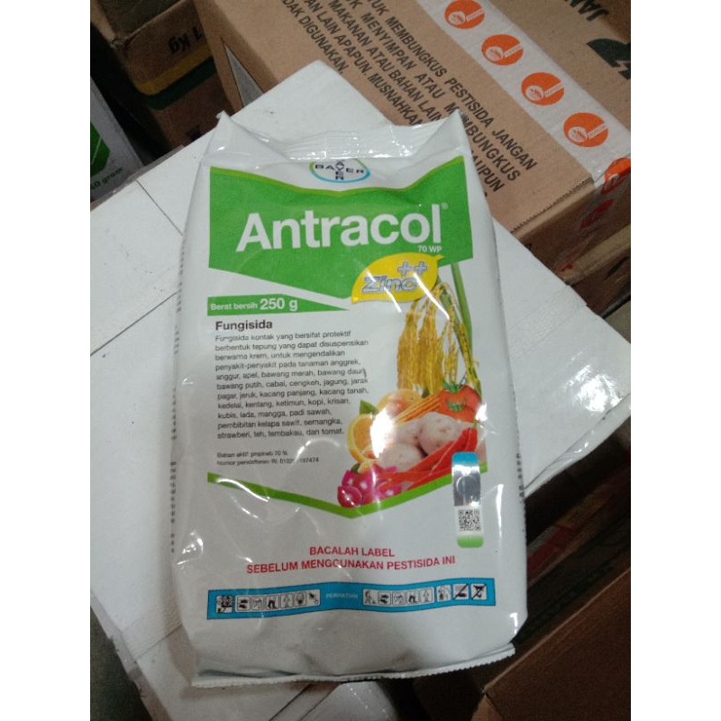 obat pertanian fungisida ANTRACOL 250ml
