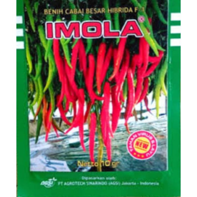 benih cabe IMOLA New (10gr)